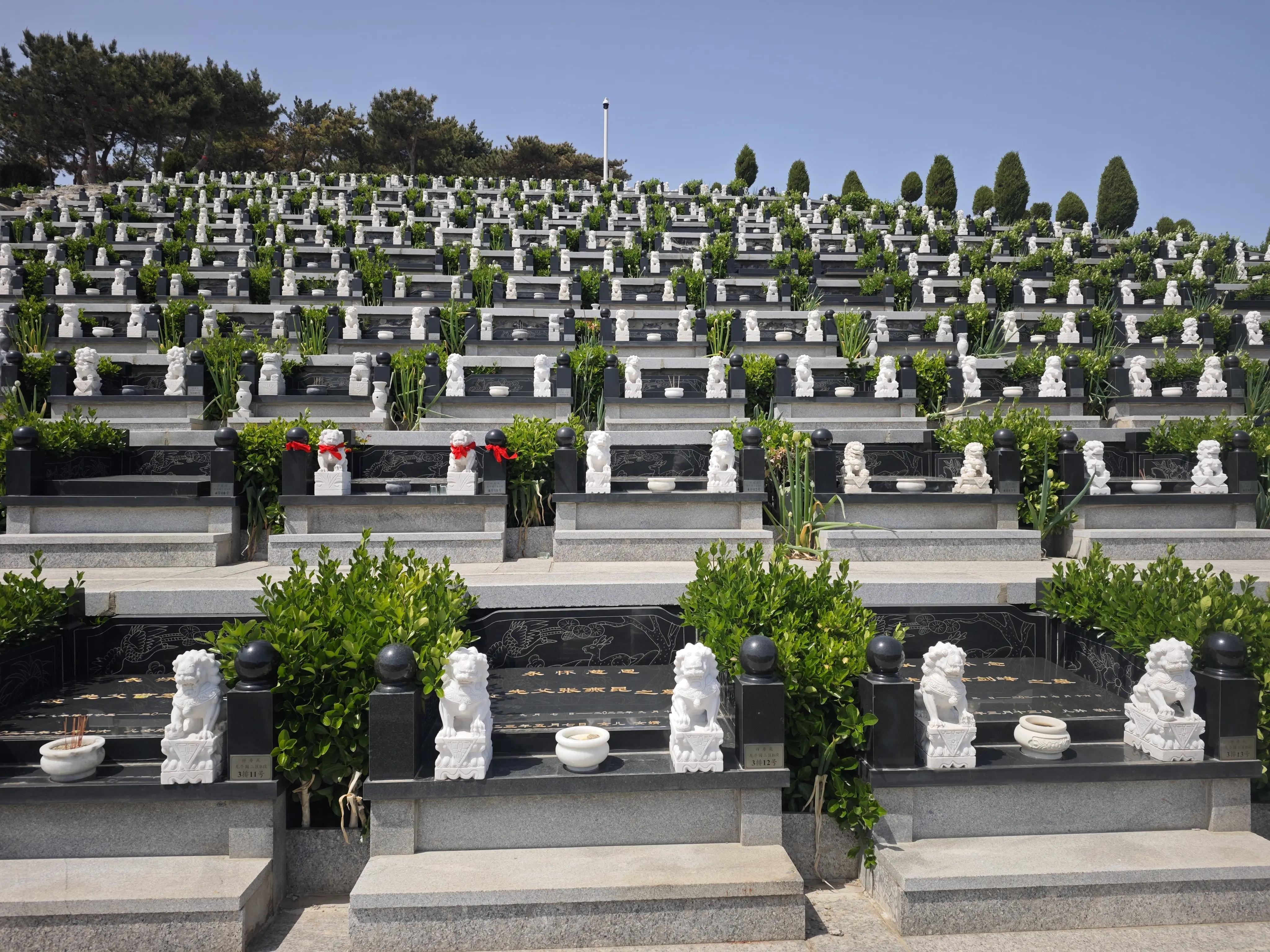 天津永安公墓双穴墓地多少钱