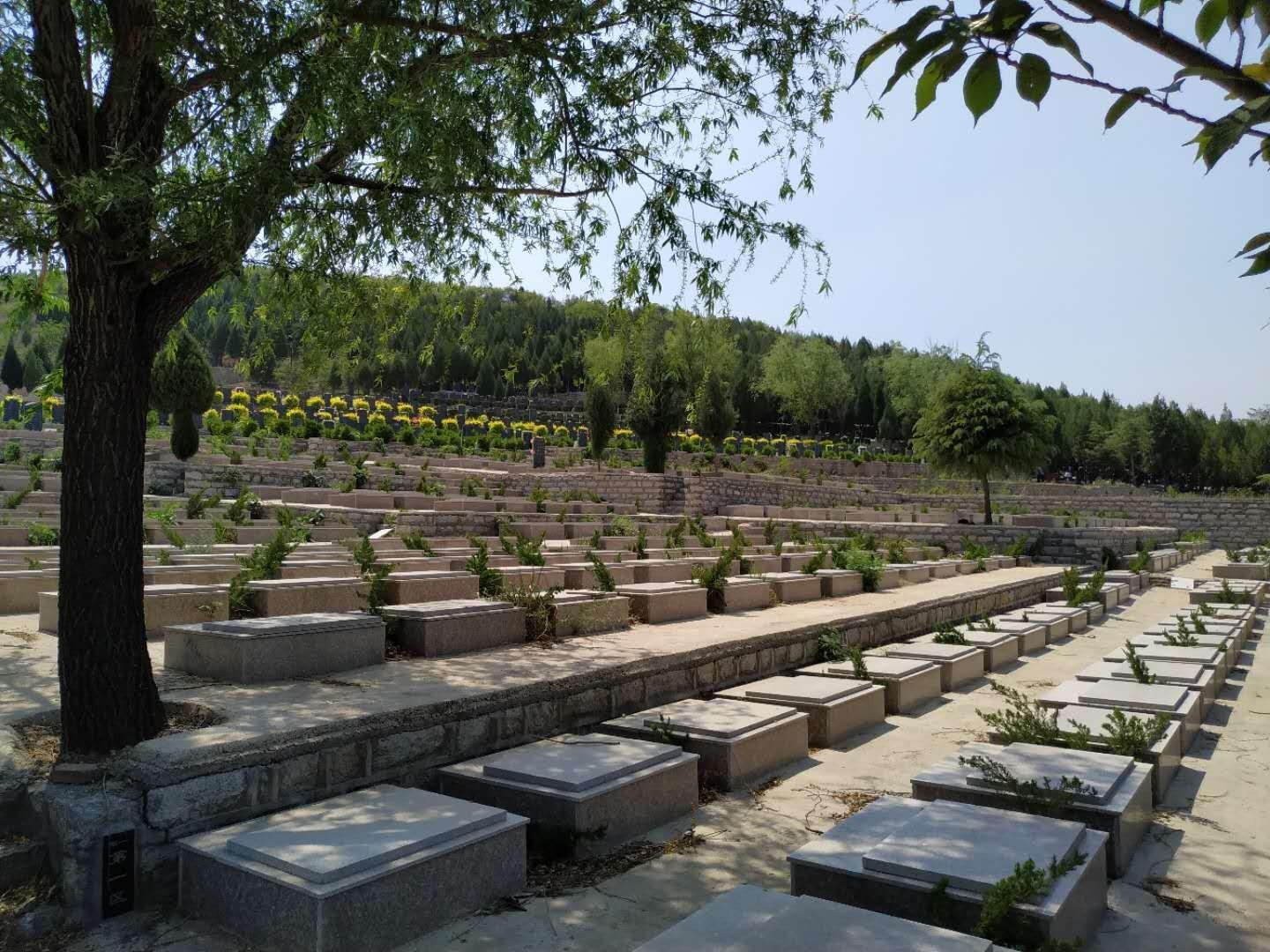 天津永安公墓具体地址在哪（百度/高德导航）